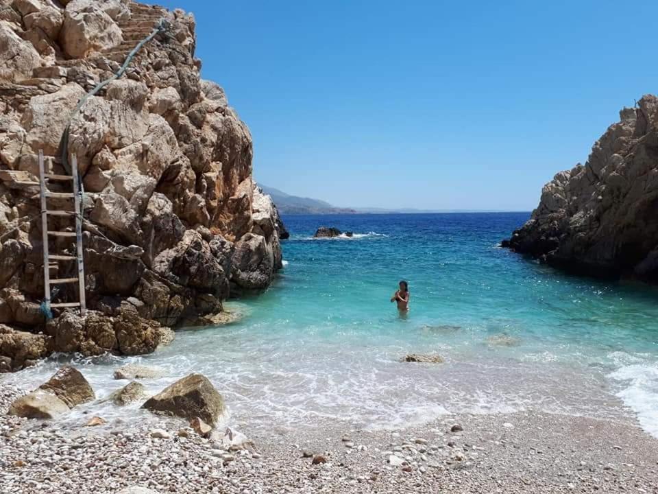 Kathys Island Retreat מלון דירות *
